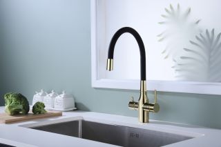 Смеситель для кухни Paulmark Salix Sa213419-G золото